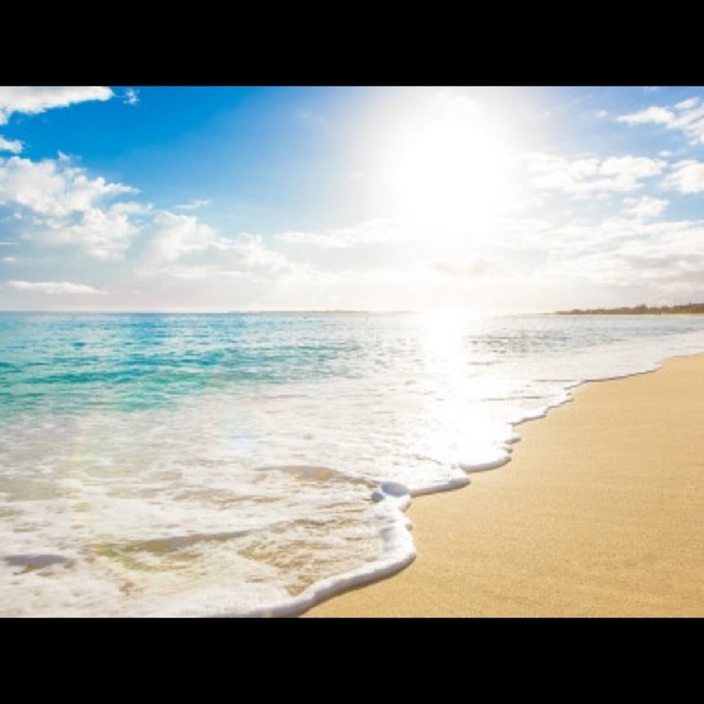 Meet your Posher, Charli